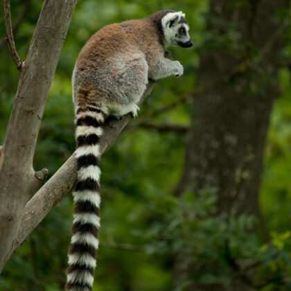 jr-fotografie-ch-Katta