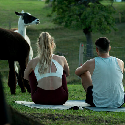 jr-fotografie-ch-Alpaka Erlebnisse Schweiz